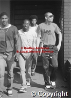 martin_jones/0999 img171.jpg