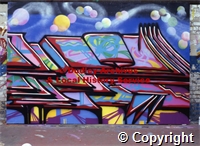 martin_jones/1369 img1320.jpg