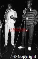 martin_jones/279 img1390.jpg