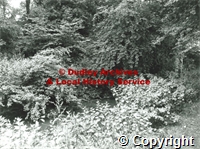 p_6\p6_1701-1800\p6-1794.jpg