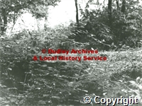 p_6\p6_1701-1800\p6-1800.jpg